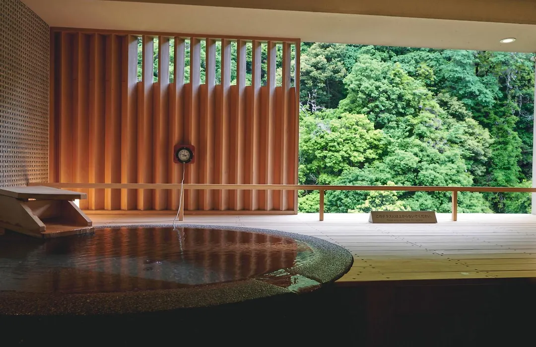 Hakone Pax Yoshino-1
